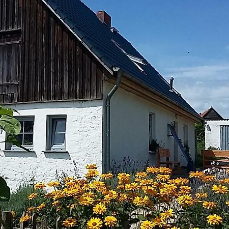 Kemnitz  Zum Storchennest酒店 外观 照片